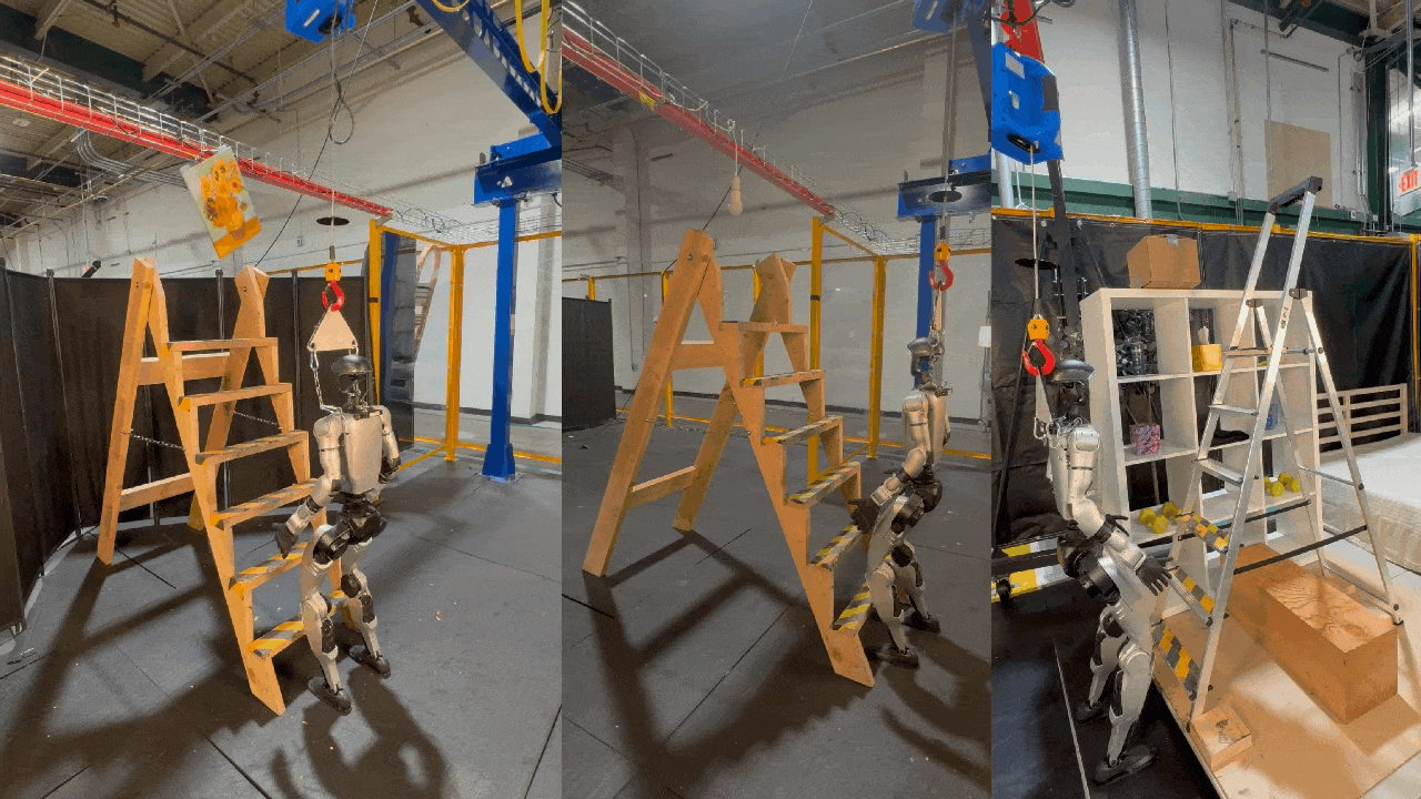 LadderMan: Learning Humanoid Perceptive Ladder Climbing